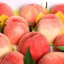 달콤한 백도 복숭아 4kg 16과내 18,900원/무료배송33