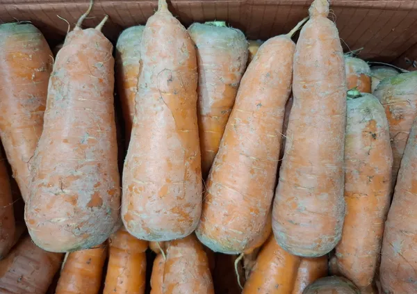 국내산 제철당근 2kg 특상 (6,800원/무배)