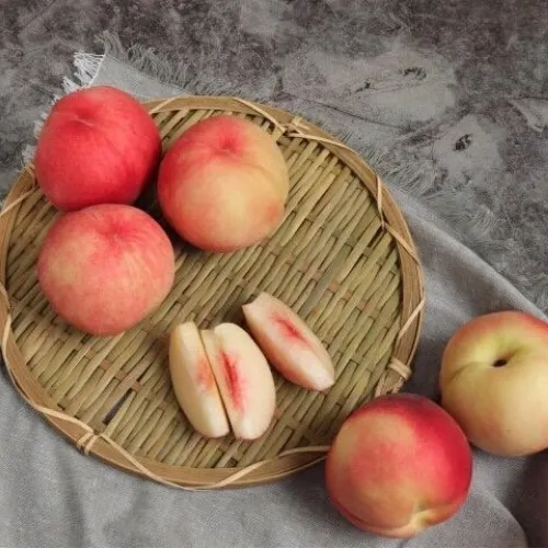 ] 딱딱이 복숭아 4kg (9,940원/무료)28