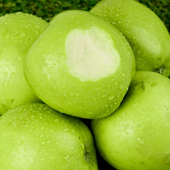 아오리 청사과 5kg (17,300원/무료)