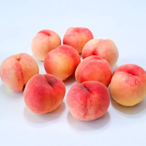 리얼 아삭이 복숭아 4kg