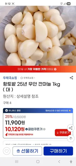 무안 깐마늘 1kg 대