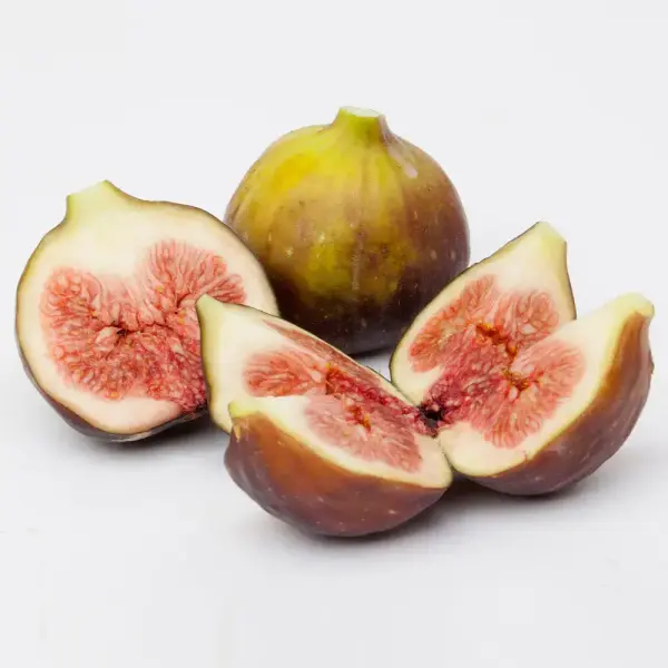 해남 햇 홍무화과 1kg