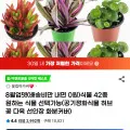 식물 42종
