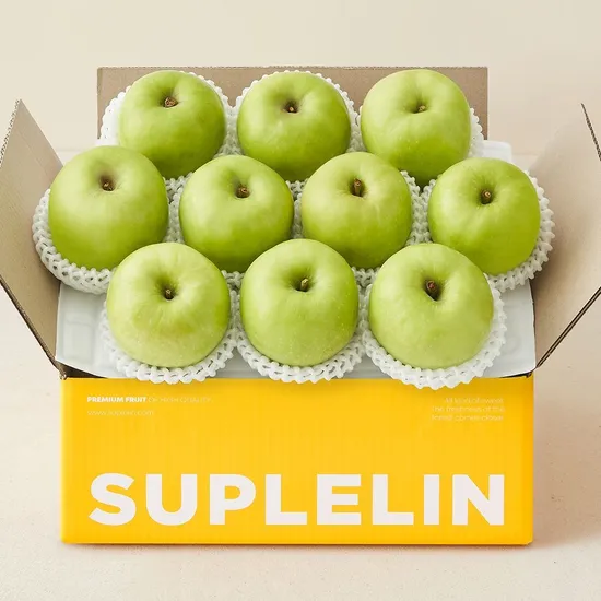 아오리사과 꼬마과 3kg 16-19과