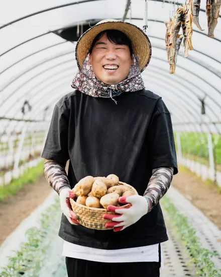 강원도 햇감자 3kg 중사이즈