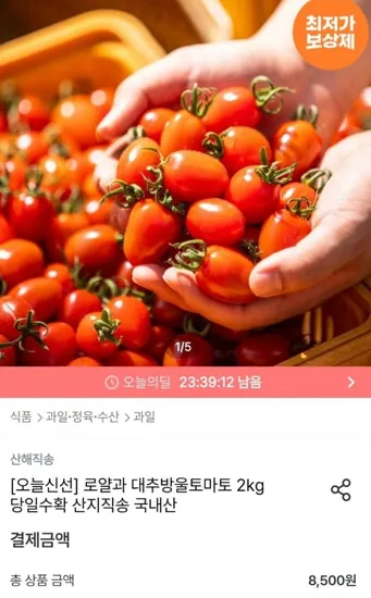 대추방울토마토 2kg 로얄과
