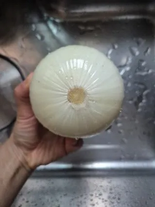 창녕 양파 깐양파 국내산 만생종 햇양파