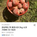 경상북도 햇 홍로사과 2kg 소과