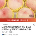 의성 백도 4kg 중과 19과내외