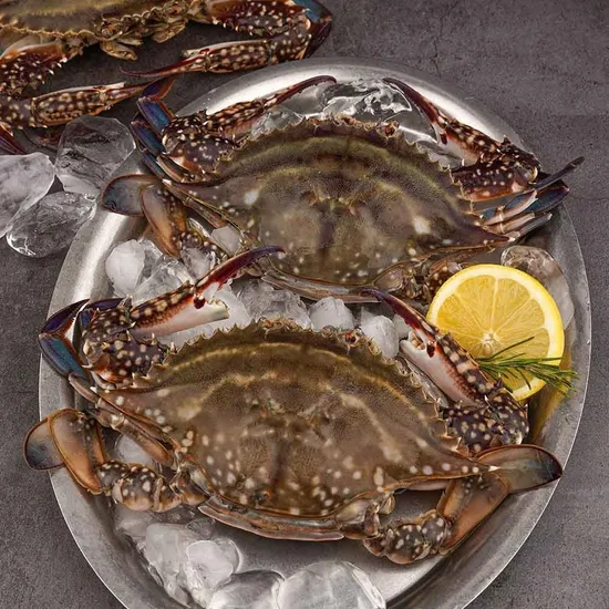 진도 활 꽃게 2kg 6~10미