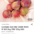 의성 안평 오태훈 추희자두 대과 2kg 120g 내외