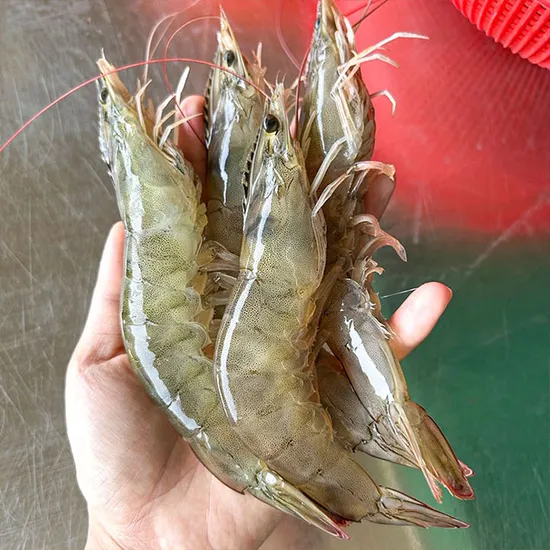 흰다리새우 1kg (28-36미) 14,940원