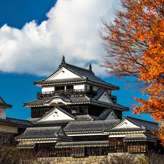 마츠야마 자유여행 2박3일 3박4일