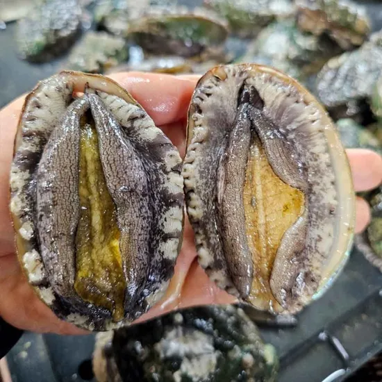 완도 활전복 특대 1kg 10미 세척솔 칼