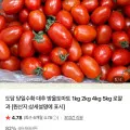 대추 방울토마토 1kg