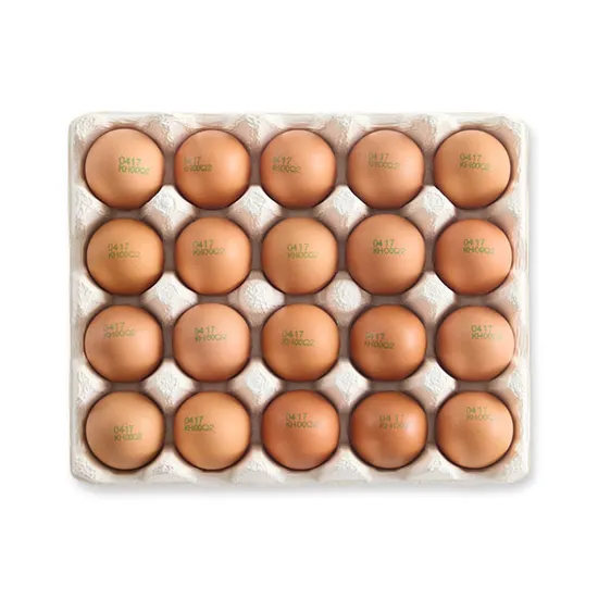 동물복지 유정란 20구