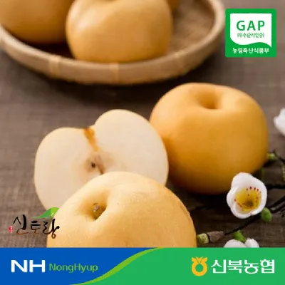 원황배 3kg (4-6과)