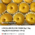 나주배 5kg
