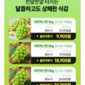 샤인머스켓 가정용 1kg