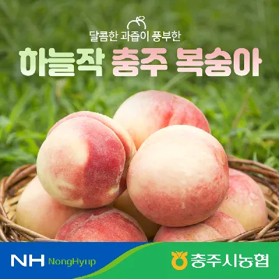 충주 복숭아 2.5kg 7~11과