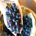 국산 머루포도 1kg