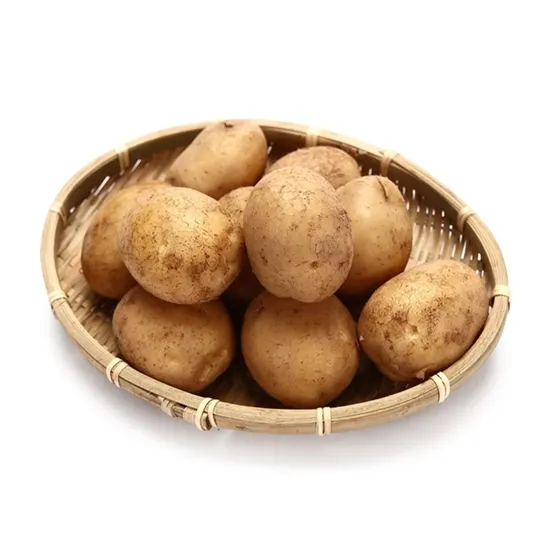 국내산 햇 감자 양파 당근 대 5kg