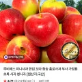 루비에스 미니사과 청송 홍로사과 2kg