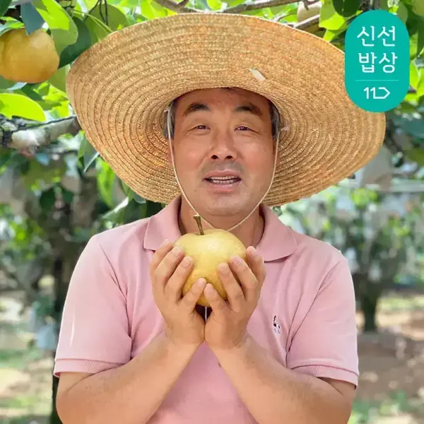 나주배 가정용 특품 3kg 5kg 15kg