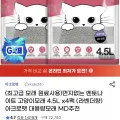 먼지 없는 벤토나이트 고양이 모래 4.5L 4팩