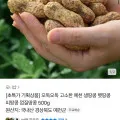 예천 생 햇 땅콩 500g