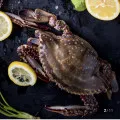 활 숫꽃게 1kg