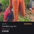 국내산 흙당근 2kg