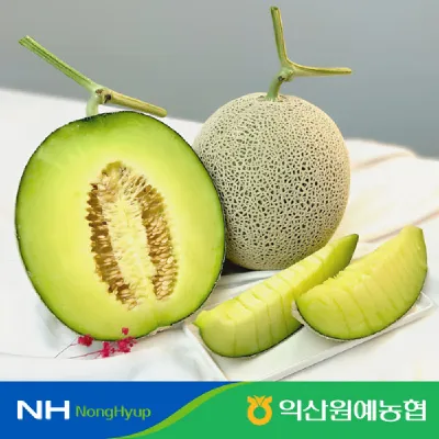 하우스 머스크 멜론 특 4kg