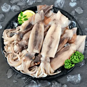 자연산 생물 오징어 통찜 오징어 1kg 5-8미