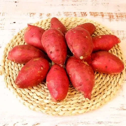 2025 해남특품꿀고구마 한입 3kg