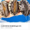 바다온 완도활전복 1kg 8~9미