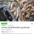 흰다리새우 1kg 30미 내외