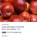 경북 햇 홍로사과 2kg 13과