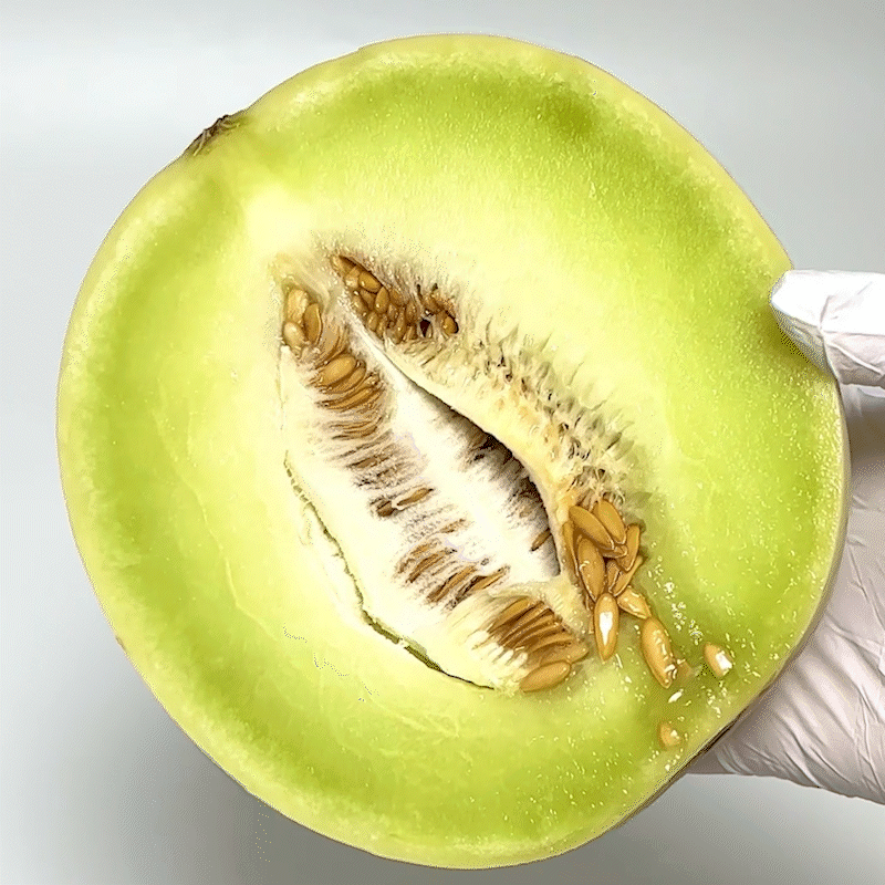 허니듀멜론 1.8kg 1수