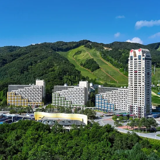 평창 휘닉스파크 치킨 액티비티 2인