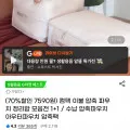컴팩 이불 압축 파우치 정리함 1+1