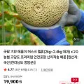 농협 머스크 멜론 2kg 이상 대과 2수 총 4kg 이상