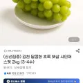 샤인머스켓 2kg (3~4수)