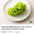 청도농협 고당도 샤인머스켓 2kg