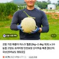 농협 고당도 프리미엄 멜론 대과 2수