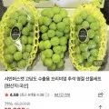 샤인머스켓 수출용 특품 1.5kg 2~3수