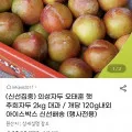 추희자두 2kg 대과