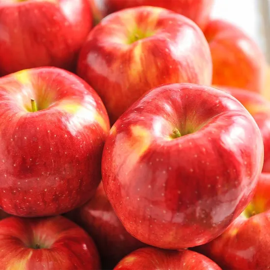 경북 햇 홍로사과 정품 2kg 13-16과