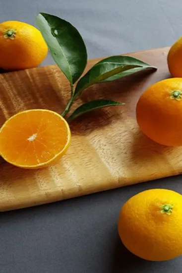 제주 산지직송 고당도 황금향 2kg 중소과 11-15과